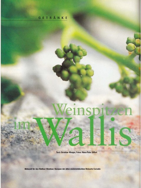 Winzer im Wallis - Winedine