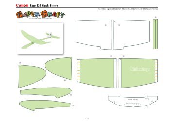 Racer 539 Hawk: Pattern