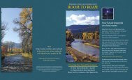 Download Brochure - Montana Water Center