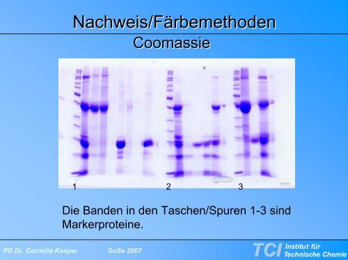 Kein Folientitel - TCI @ Uni-Hannover.de