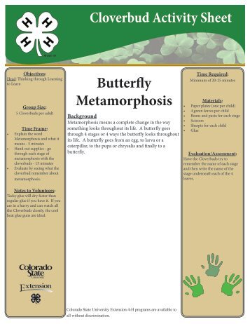 Butterfly Metamorphosis Cloverbud Activity Sheet