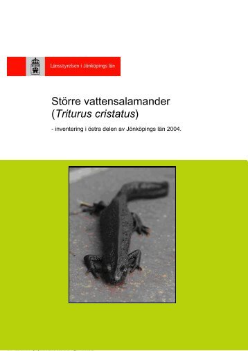 StÃ¶rre vattensalamander (Triturus cristatus)