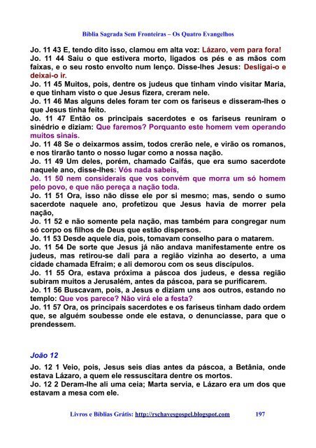 Biblia Sagrada Sem Fronteiras-Os Quatro Evangelhos.pdf