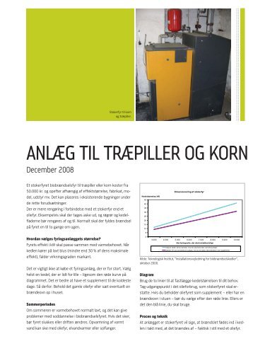 ANLÃƒÂ†G TIL TRÃƒÂ†PILLER OG KORN - LandbrugsInfo