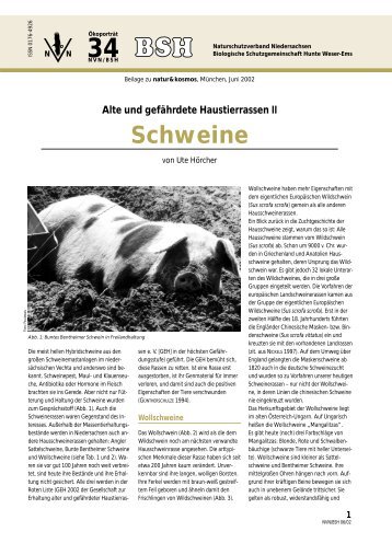 Alte und gefährdete Haustierrassen II Schweine - Biologische ...