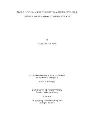 university of washington dissertations university of washington dissertations