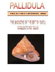 October, 2006 - British Shell Collectors' Club