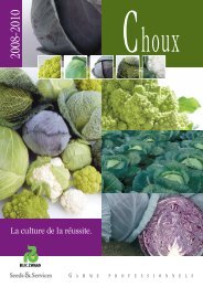 Catalogue Choux - Rijk Zwaan