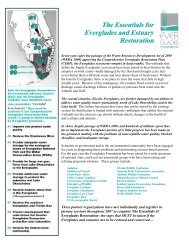 The Essentials for Everglades and Estuary Restoration - DriveCMS