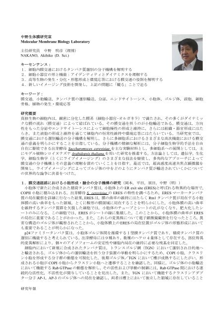 研究年次報告書