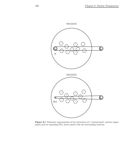 Download Thesis in Pdf Format - Theoretical Nuclear Physics and ...