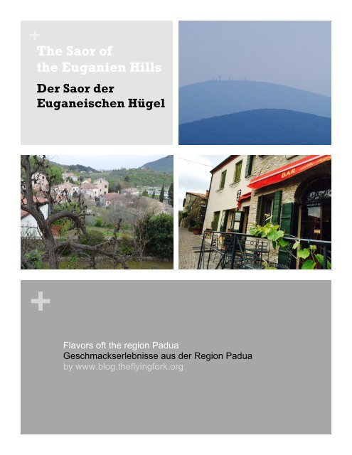 The Saor of the Euganien Hills - Flavors oft the region Padua 