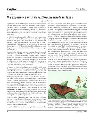 My experience with Passiflora incarnata in Texas