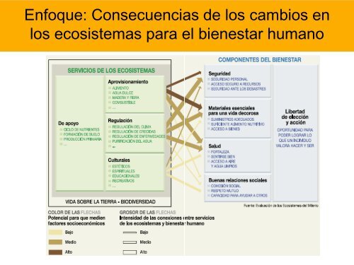 Dimensión Social de la Restauración