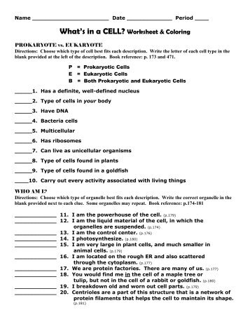 What's in a CELL- Worksheet & Coloring