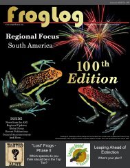 Regional Focus - Amphibian Specialist Group