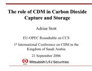 The role of CDM in Carbon Dioxide Capture and Storage
