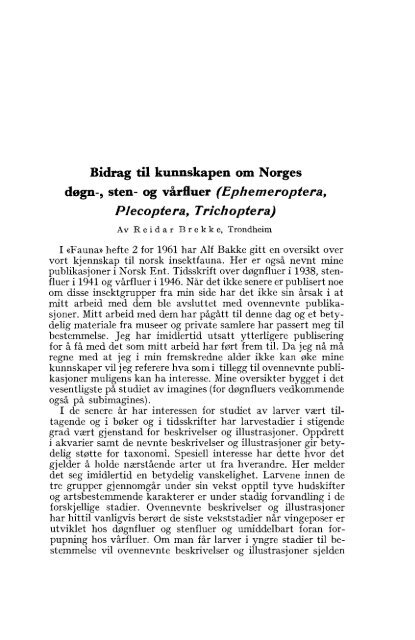 NORSK ENTOMOLOGISK TIDSSKRIFT - Norsk entomologisk forening