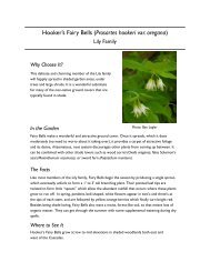 Hooker's Fairy Bells - Washington Native Plant Society