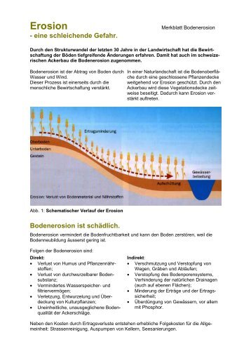 Erosion - eine schleichende Gefahr (Merkblatt Bodenerosion)