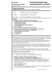 Protokoll Orientierungs- versammlung 24. Juni 2013 - Feldbrunnen