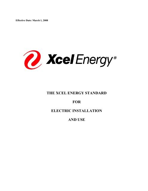 xcel energy essay