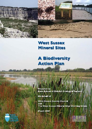 West Sussex Mineral Sites Biodiversity Action Plan