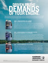 Oil & Engine Care Sheet - Evinrude