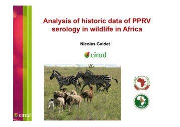 Analysis of historic data of PPRV serology in wildlife in ... - OIE Africa