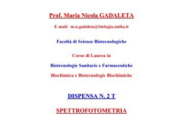 Spettri di assorbimento - Biotecnologie