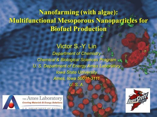 Nanofarming (with algae): Multifunctional Mesoporous ...