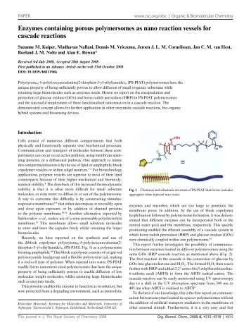 Enzymes containing porous polymersomes as nano reaction ...