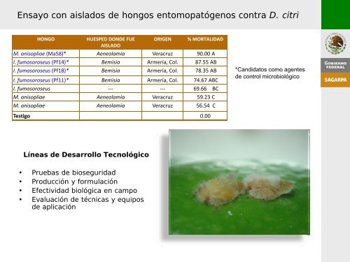 D. citri - California Citrus  Quality Council