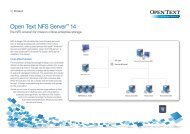 Open Text NFS Server 14 - MSB