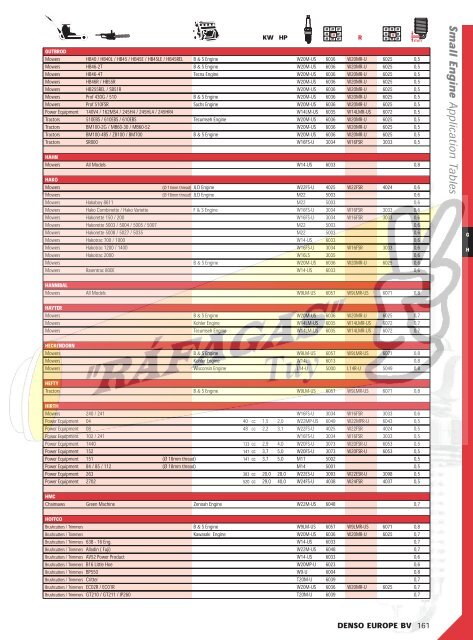 DENSO-2009 RAFAGAS.pdf