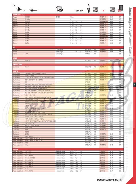 DENSO-2009 RAFAGAS.pdf