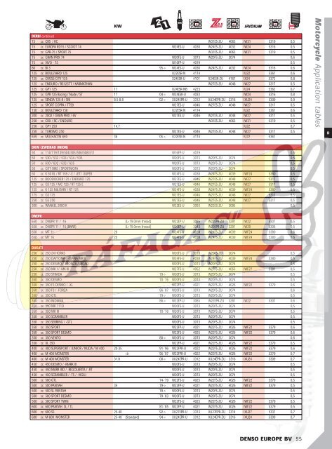 DENSO-2009 RAFAGAS.pdf