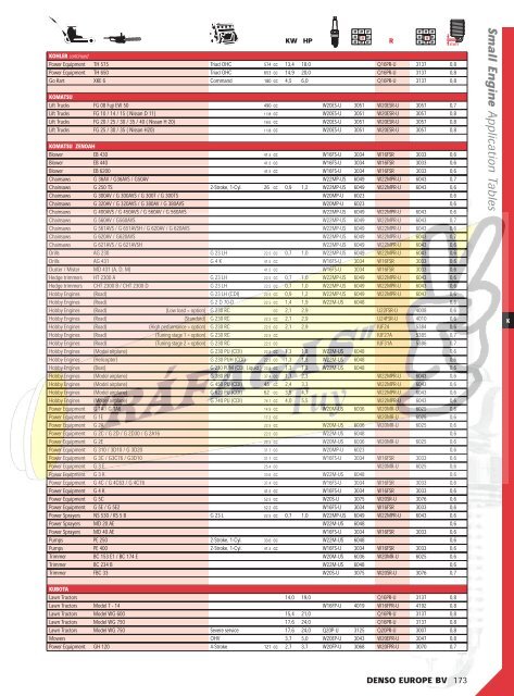 DENSO-2009 RAFAGAS.pdf