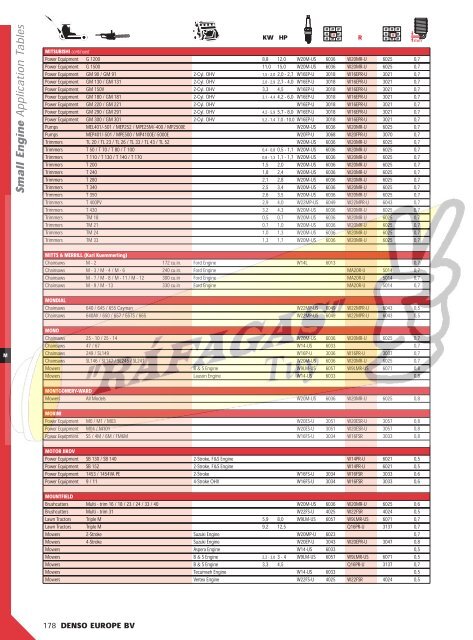 DENSO-2009 RAFAGAS.pdf