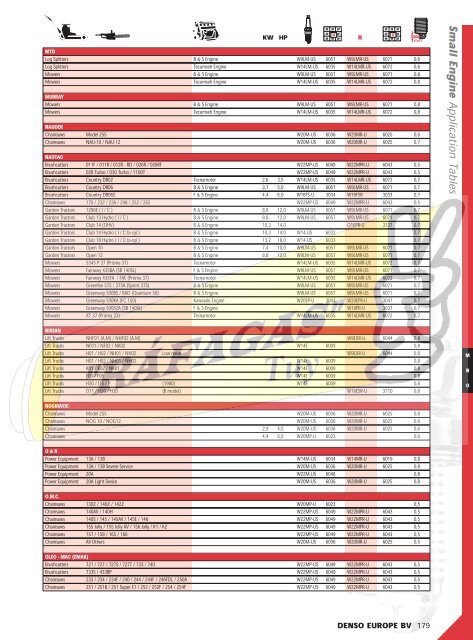 DENSO-2009 RAFAGAS.pdf