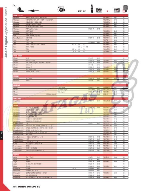 DENSO-2009 RAFAGAS.pdf