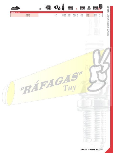 DENSO-2009 RAFAGAS.pdf