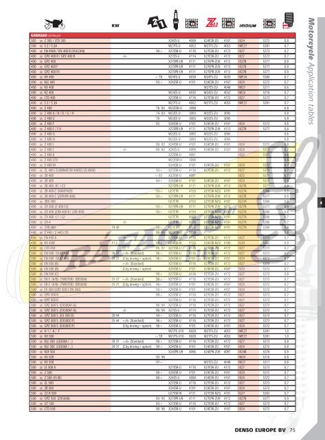 DENSO-2009 RAFAGAS.pdf