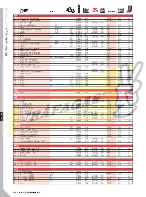 DENSO-2009 RAFAGAS.pdf