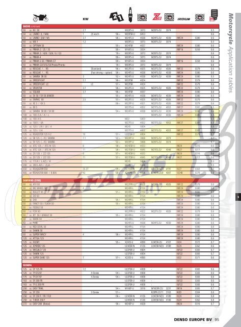 DENSO-2009 RAFAGAS.pdf