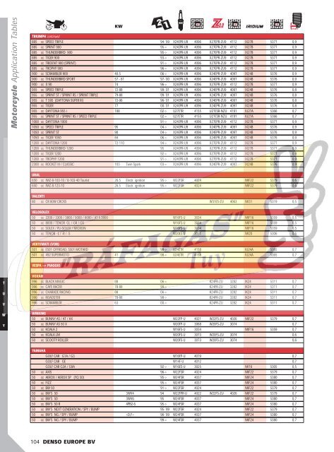 DENSO-2009 RAFAGAS.pdf