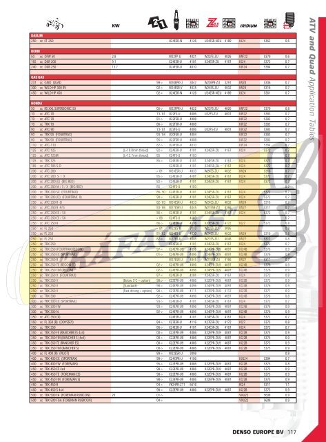 DENSO-2009 RAFAGAS.pdf