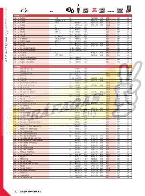 DENSO-2009 RAFAGAS.pdf