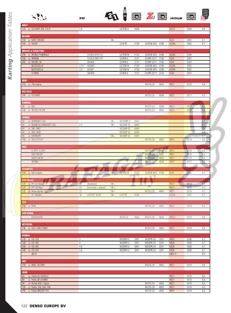 DENSO-2009 RAFAGAS.pdf