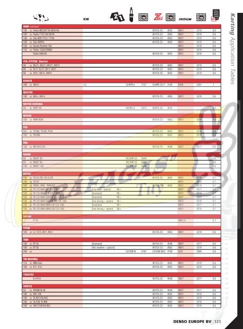 DENSO-2009 RAFAGAS.pdf